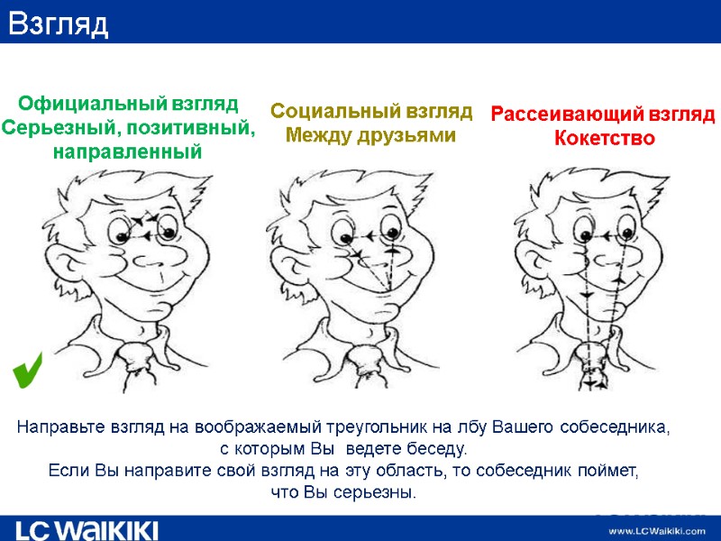 Взгляд  Официальный взгляд Серьезный, позитивный, направленный Социальный взгляд Между друзьями Рассеивающий взгляд 